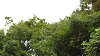 camp26 (294)_thumb.png